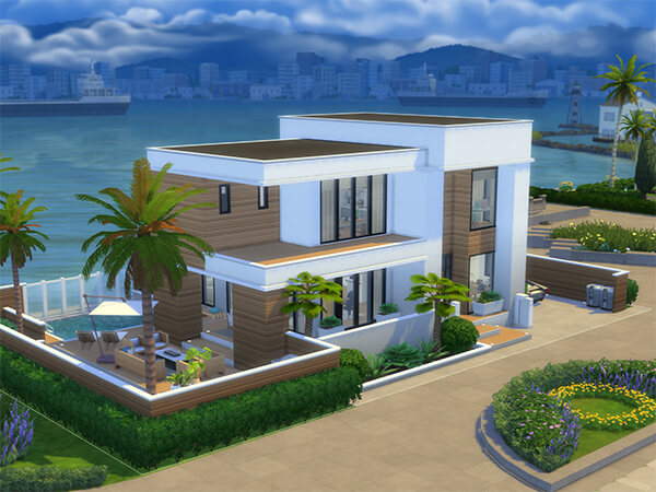 Modern San Sequoia House